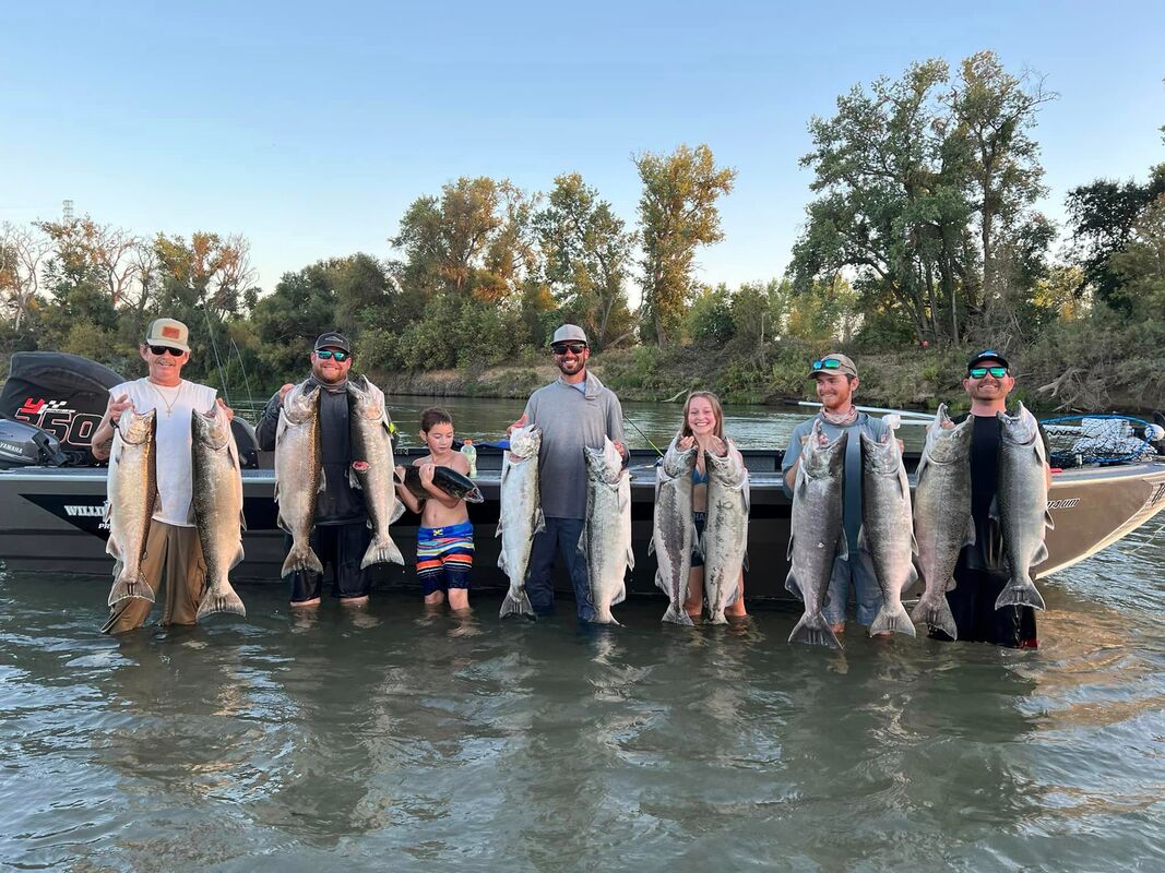 Sacramento and Feather River Salmon
